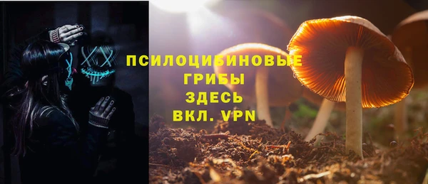 хмурый Балахна