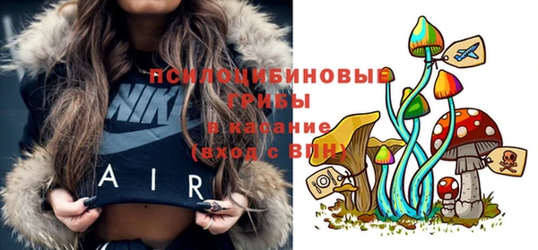 хмурый Балахна