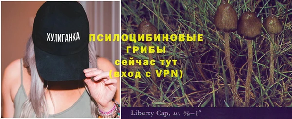 эйфоретик Баксан