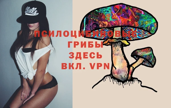 амф Арсеньев