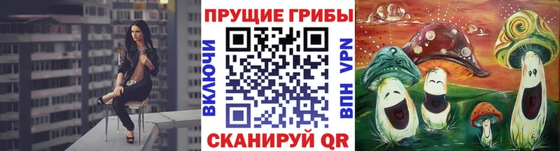 цена   Горнозаводск  Галлюциногенные грибы прущие грибы 